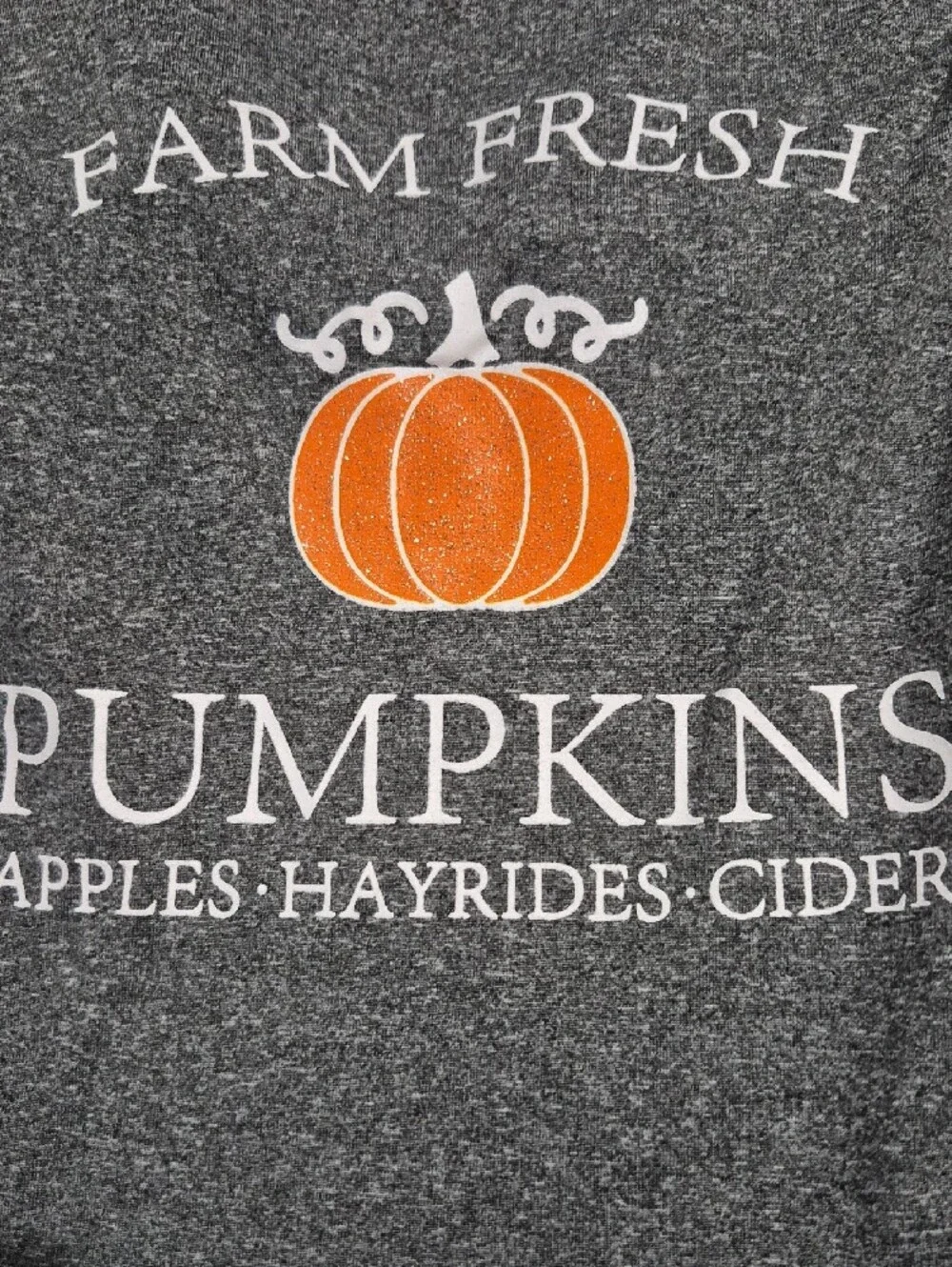 Kids Farm Fresh Pumpkins Graphic Top - Gray & Orange